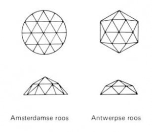 Amsterdamse roos en Antwerpse roos.